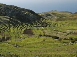 Tenerife2002-2003-028